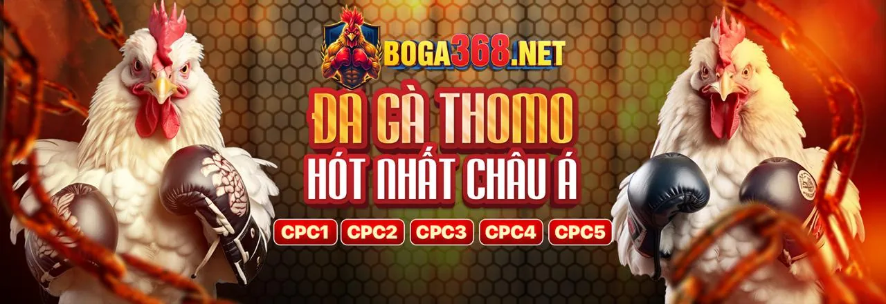 Đá Gà Trực Tuyến 8x88