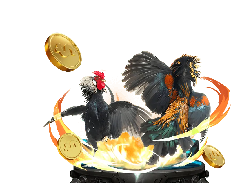 Máy đánh bạc 8x88